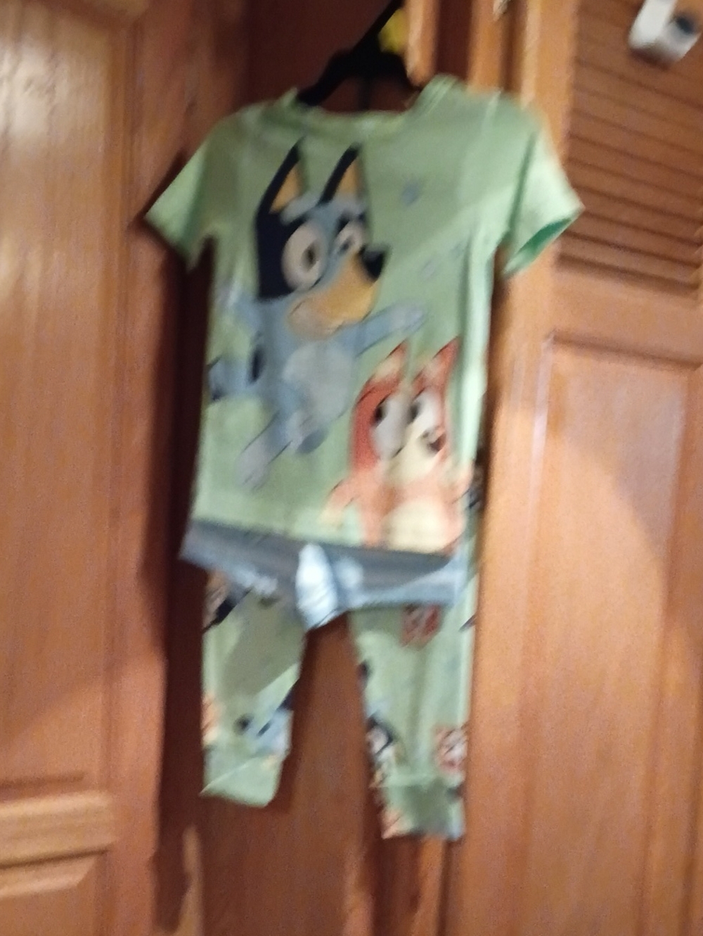Bluey Green Short-Sleeve Kids Pajama Set with Pants And Shorts.